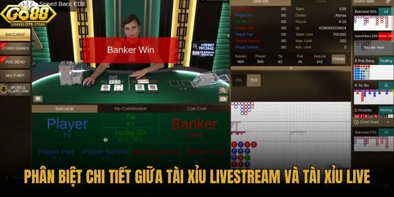 phan-biet-chi-tiet-giua-tai-xiu-livestream-va-tai-xiu-live