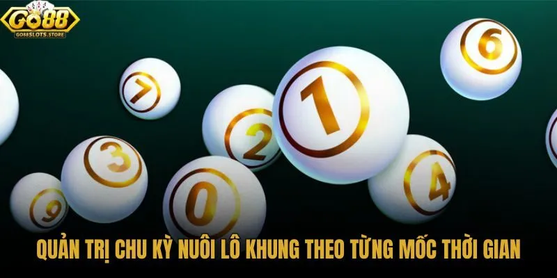 quan-tri-chu-ky-nuoi-lo-khung-theo-tung-moc-thoi-gian quan-tri-chu-ky-nuoi-lo-khung-theo-tung-moc-thoi-gian