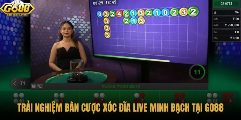 trai-nghiem-ban-cuoc-xoc-dia-live-minh-bach-tai-go88 trai-nghiem-ban-cuoc-xoc-dia-live-minh-bach-tai-go88